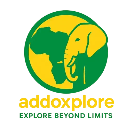 cropped Addoxplore logo512.opti_